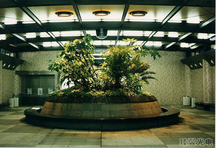 光導(dǎo)照明，光纖照明，室內(nèi)植物照射
